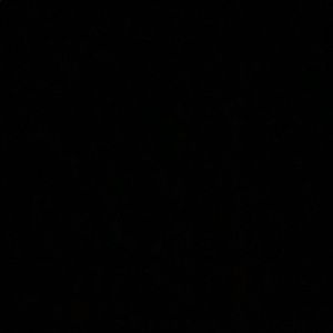 Meet your Posher, Emilio